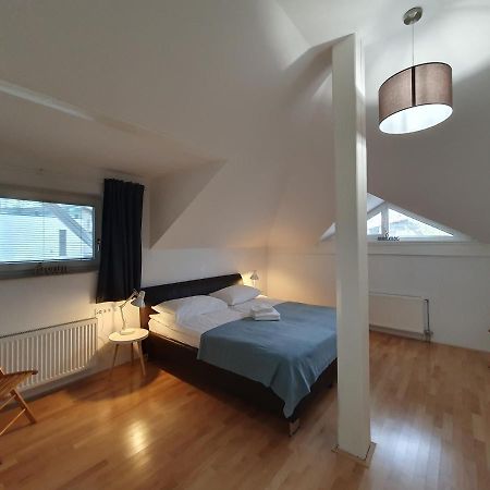 Charming Apartment Mila In Privat House With Free Parking Ljubljana Exterior photo