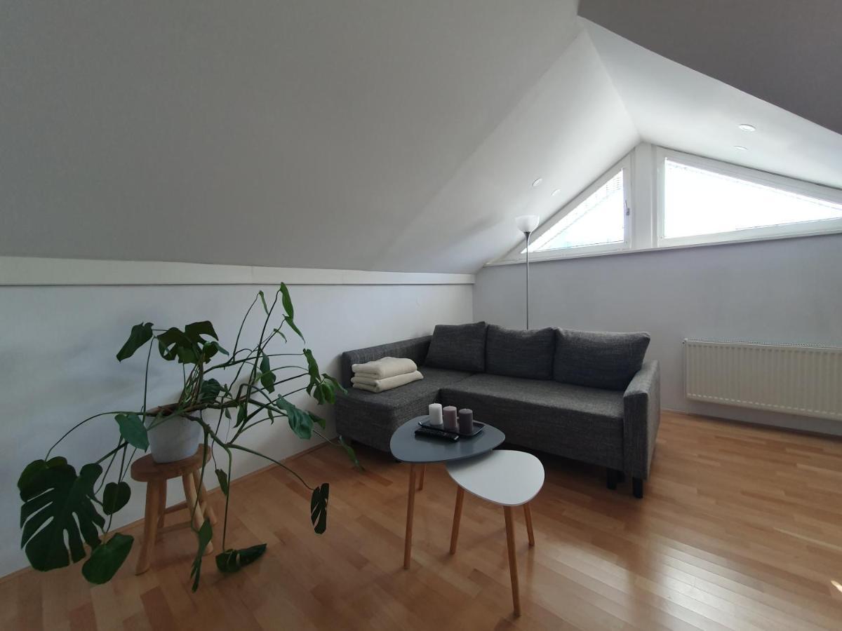 Charming Apartment Mila In Privat House With Free Parking Ljubljana Exterior photo