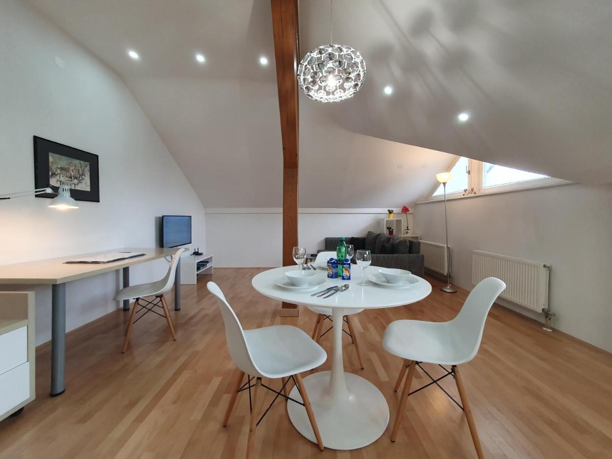 Charming Apartment Mila In Privat House With Free Parking Ljubljana Exterior photo