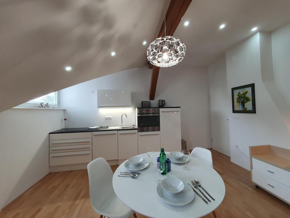 Charming Apartment Mila In Privat House With Free Parking Ljubljana Exterior photo